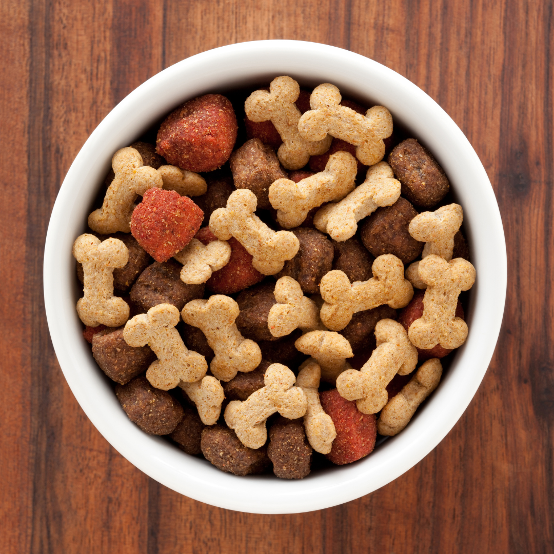 Alimentação Pet